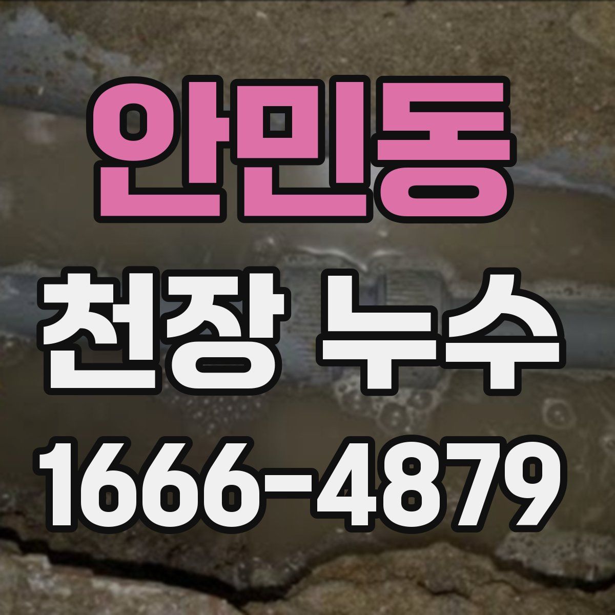 안민동 천장 누수