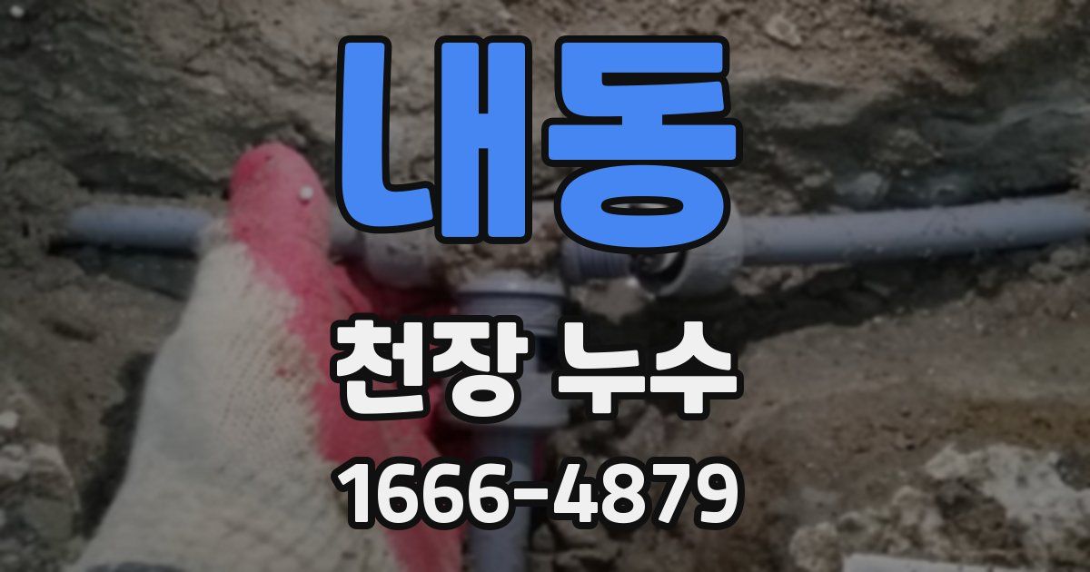 내동 천장 누수