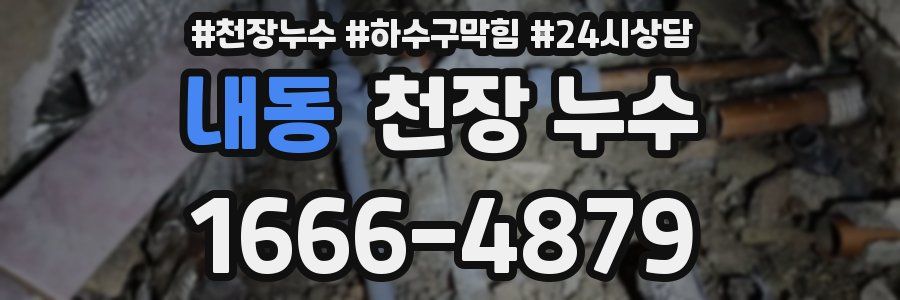 내동 천장 누수