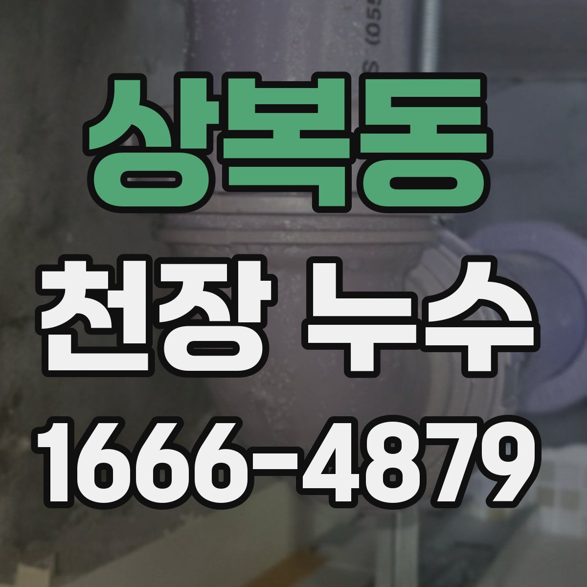 상복동 천장 누수