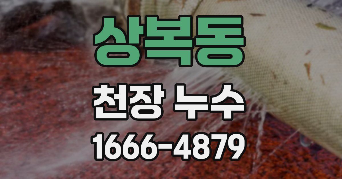 상복동 천장 누수