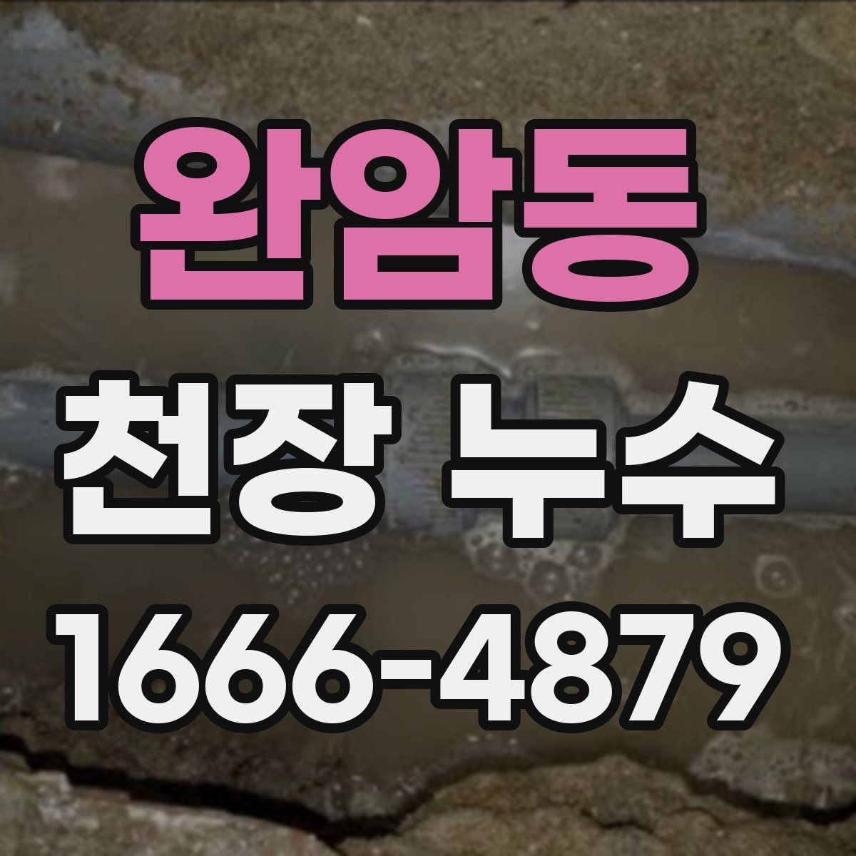 완암동 천장 누수