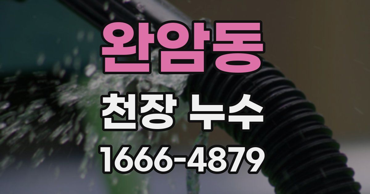 완암동 천장 누수