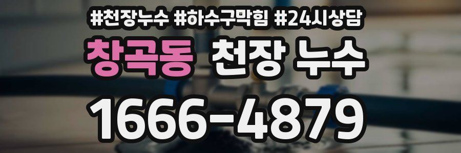 창곡동 천장 누수