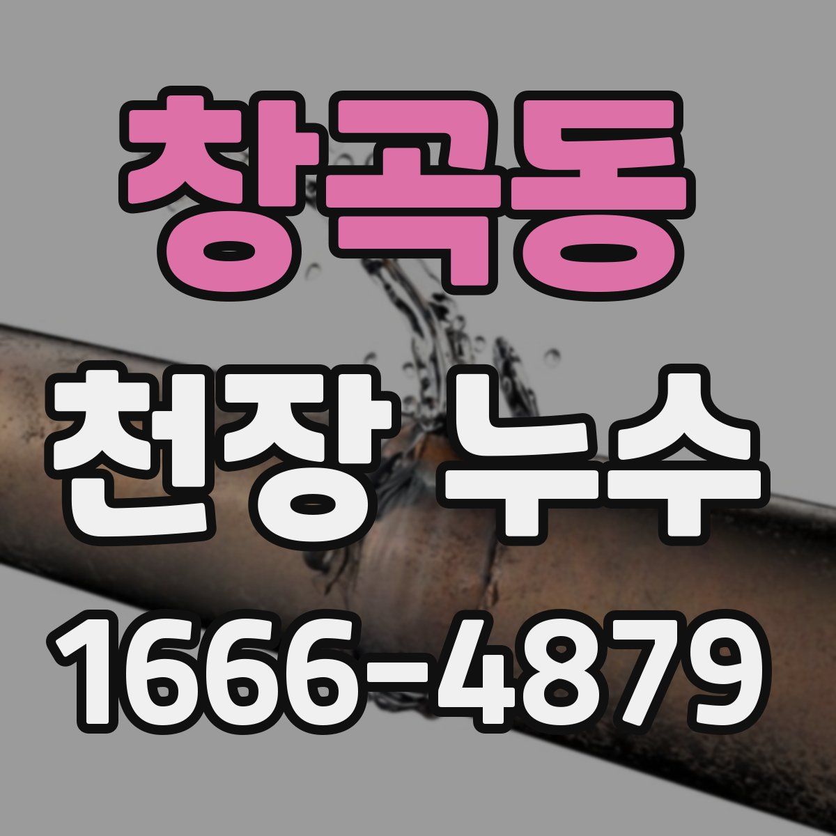 창곡동 천장 누수