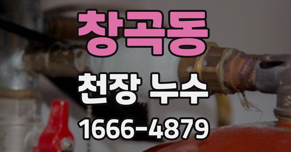 창곡동 천장 누수