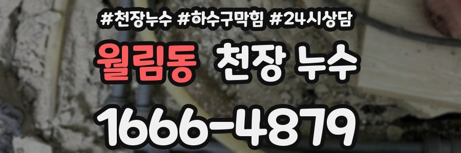 월림동 천장 누수