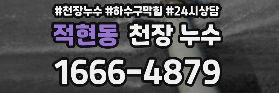 적현동 천장 누수