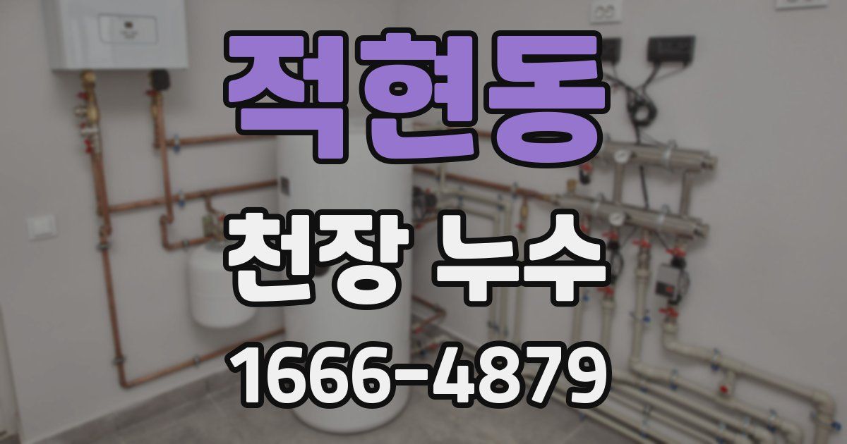 적현동 천장 누수