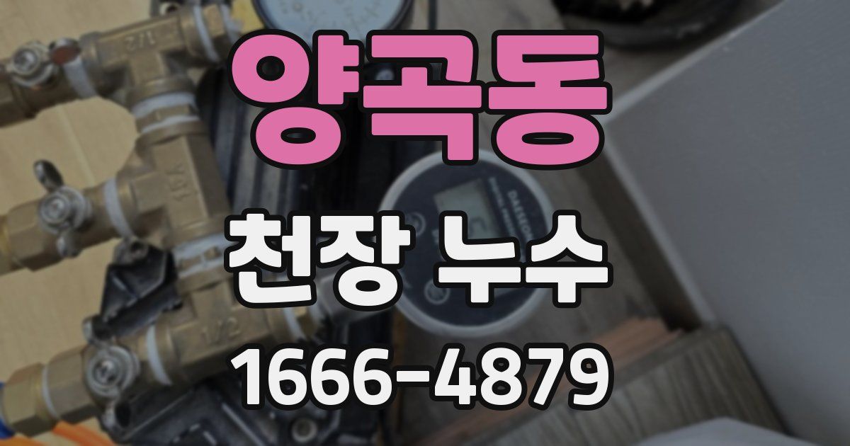 양곡동 천장 누수