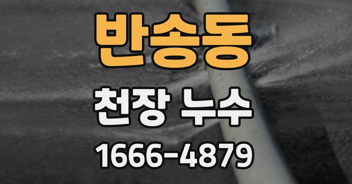 반송동 천장 누수