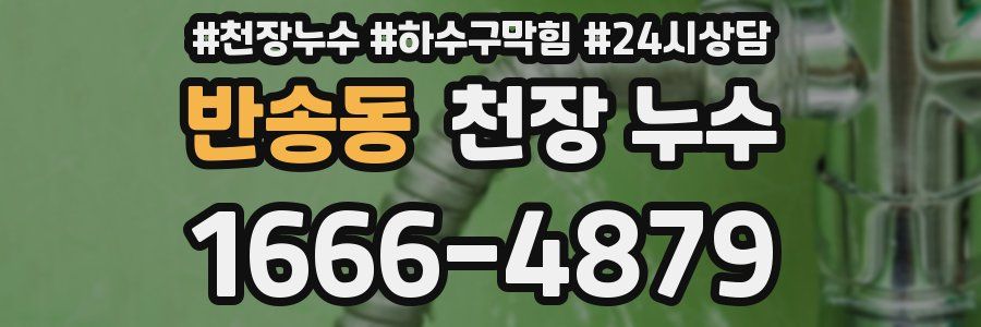 반송동 천장 누수