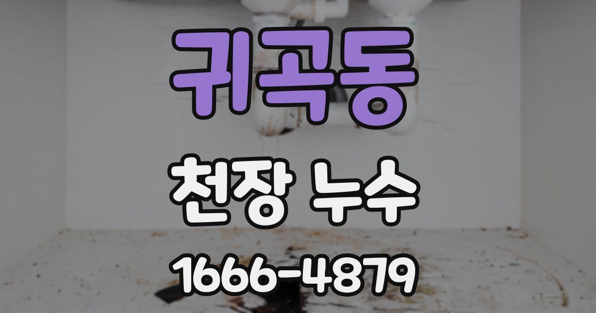 귀곡동 천장 누수