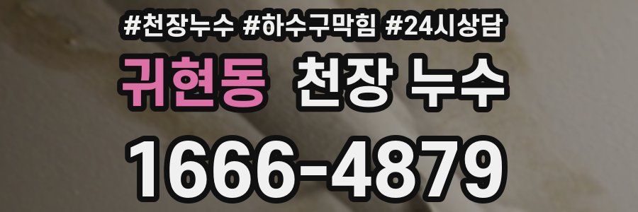 귀현동 천장 누수