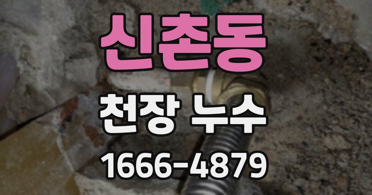 신촌동 천장 누수