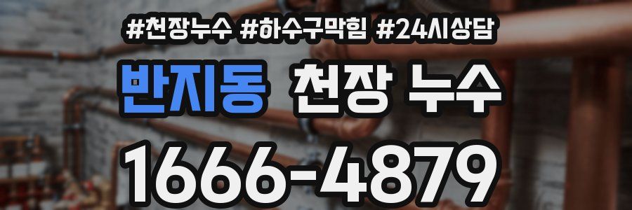 반지동 천장 누수