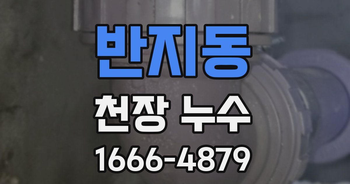 반지동 천장 누수