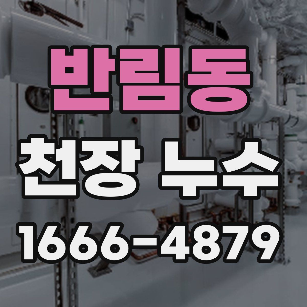 반림동 천장 누수