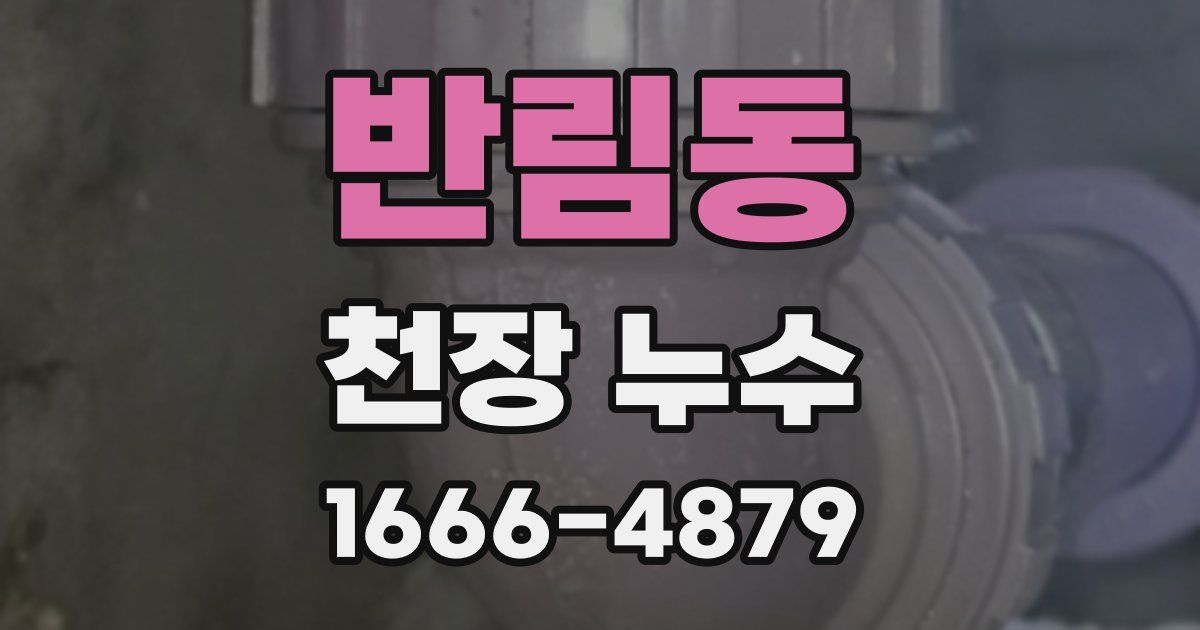 반림동 천장 누수