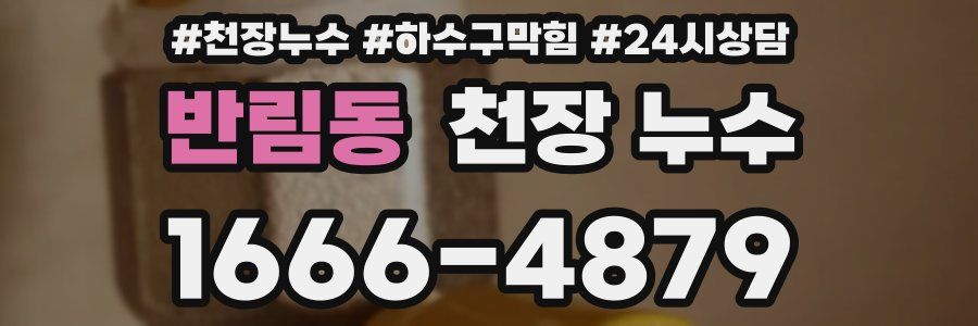 반림동 천장 누수