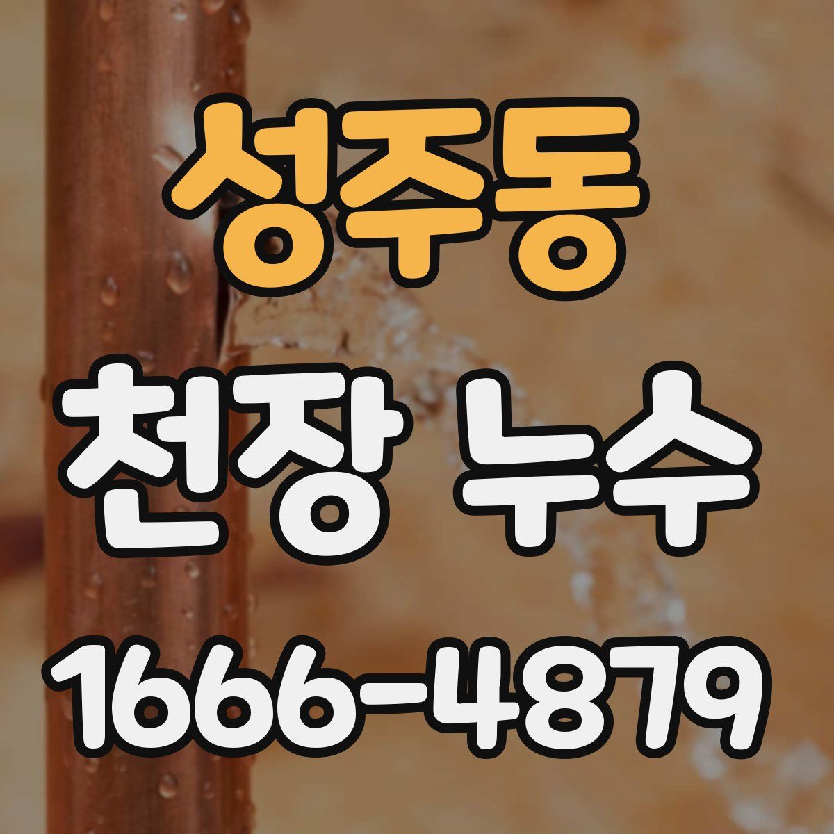 성주동 천장 누수