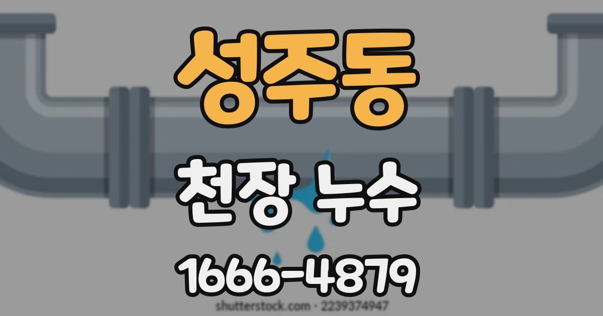 성주동 천장 누수