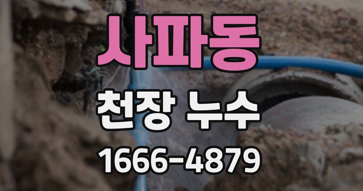 사파동 천장 누수