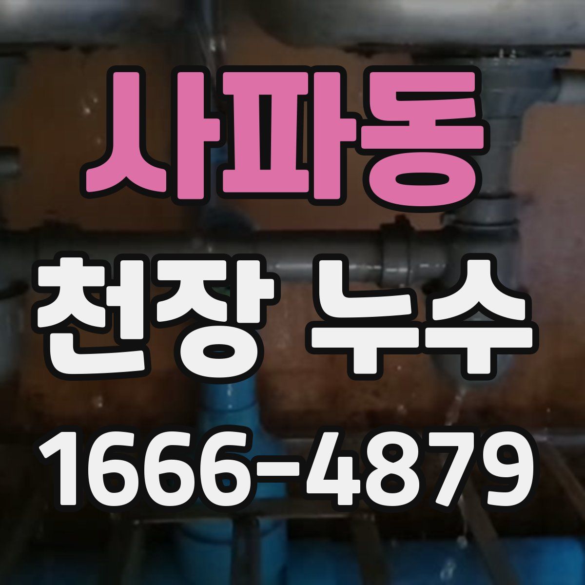 사파동 천장 누수