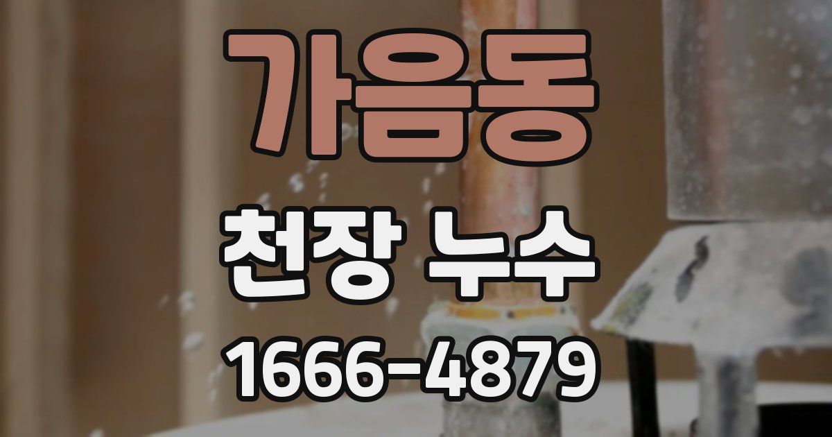 가음동 천장 누수