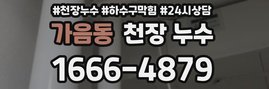 가음동 천장 누수