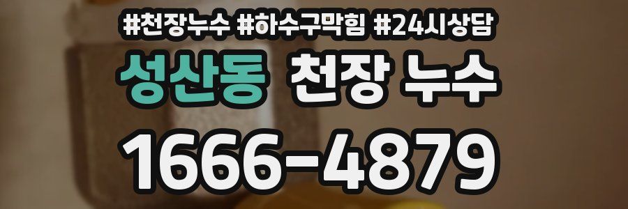 성산동 천장 누수