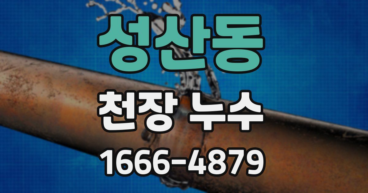 성산동 천장 누수