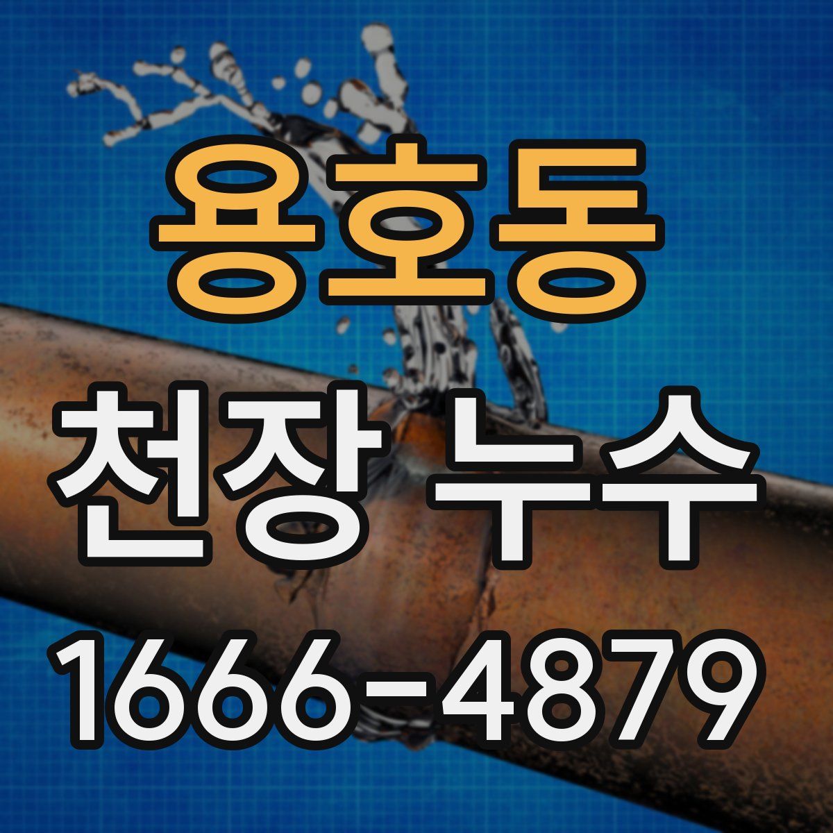 용호동 천장 누수