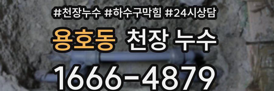 용호동 천장 누수