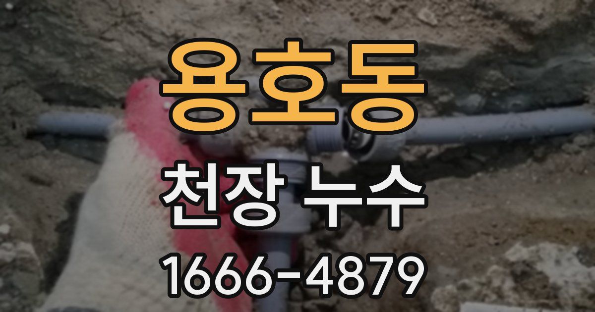 용호동 천장 누수