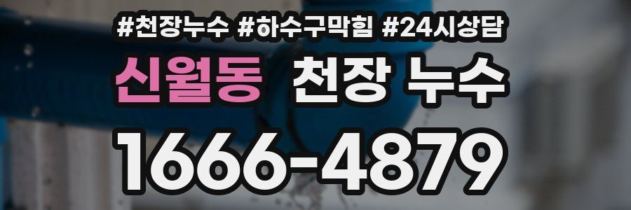 신월동 천장 누수