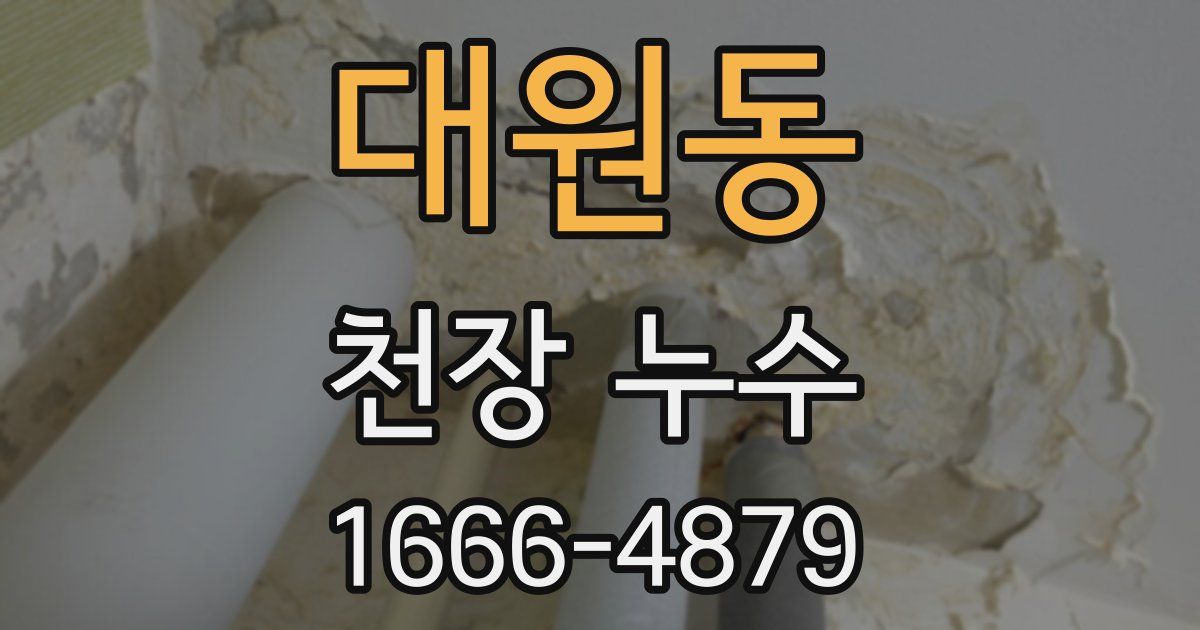 대원동 천장 누수