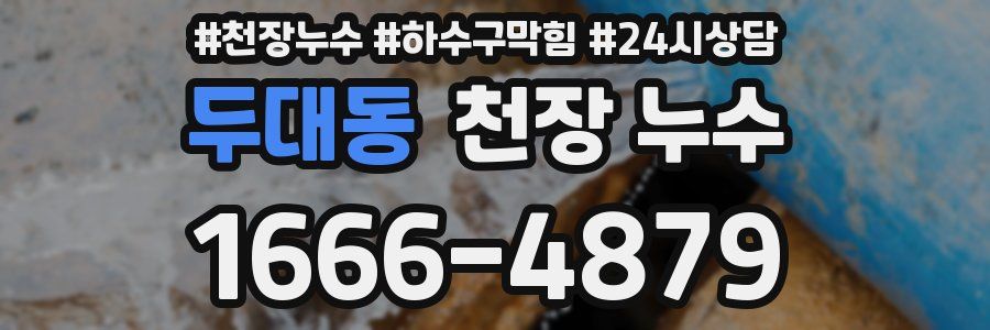 두대동 천장 누수