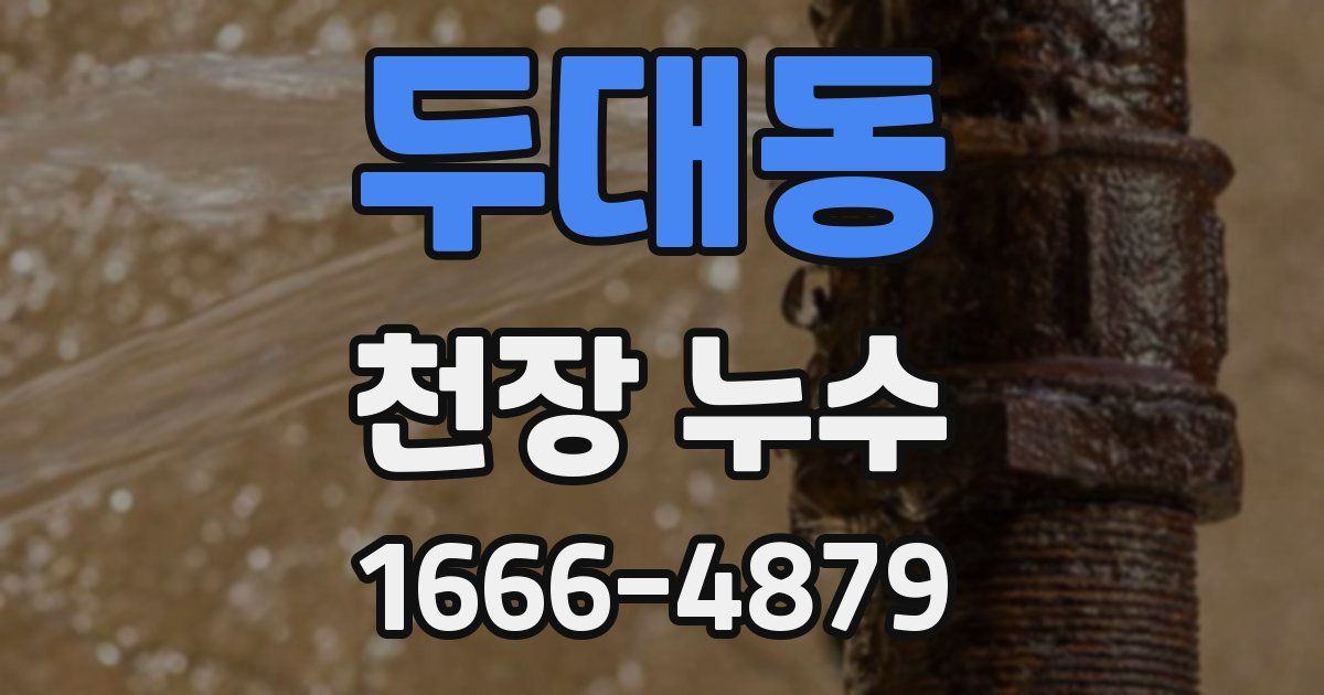 두대동 천장 누수