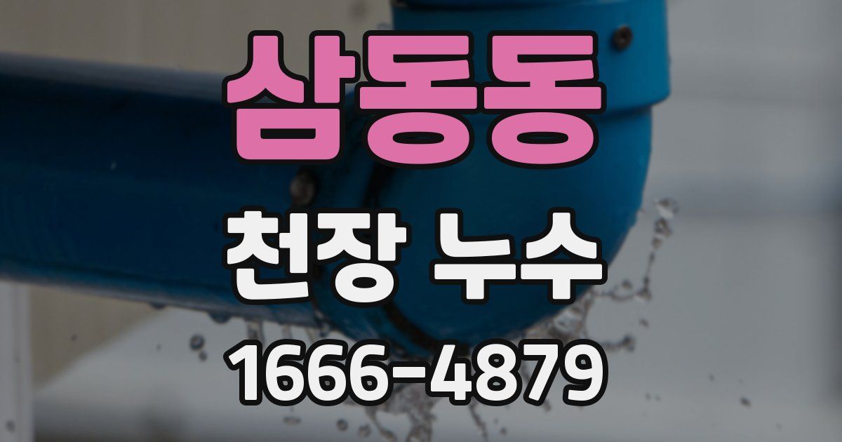 삼동동 천장 누수