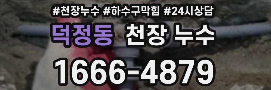 덕정동 천장 누수