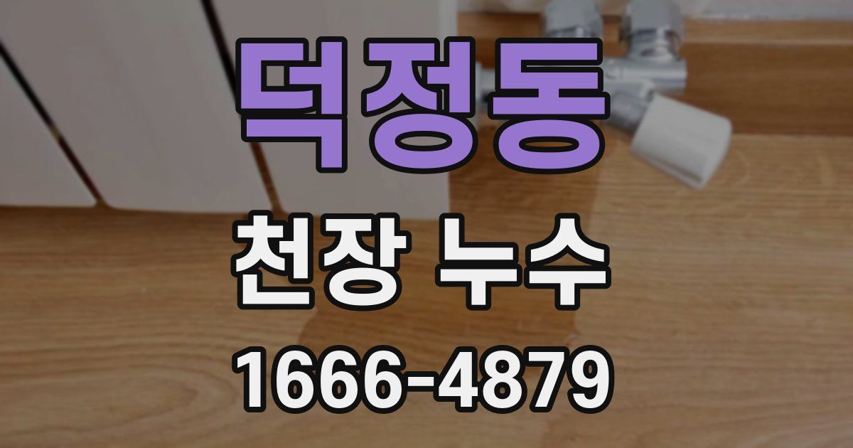 덕정동 천장 누수