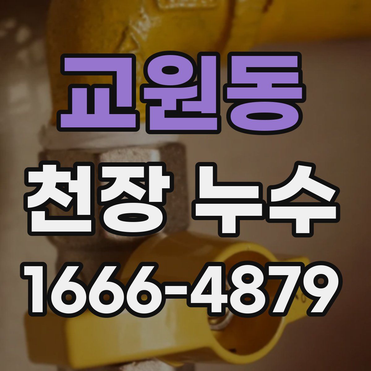 교원동 천장 누수