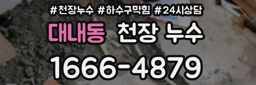 대내동 천장 누수