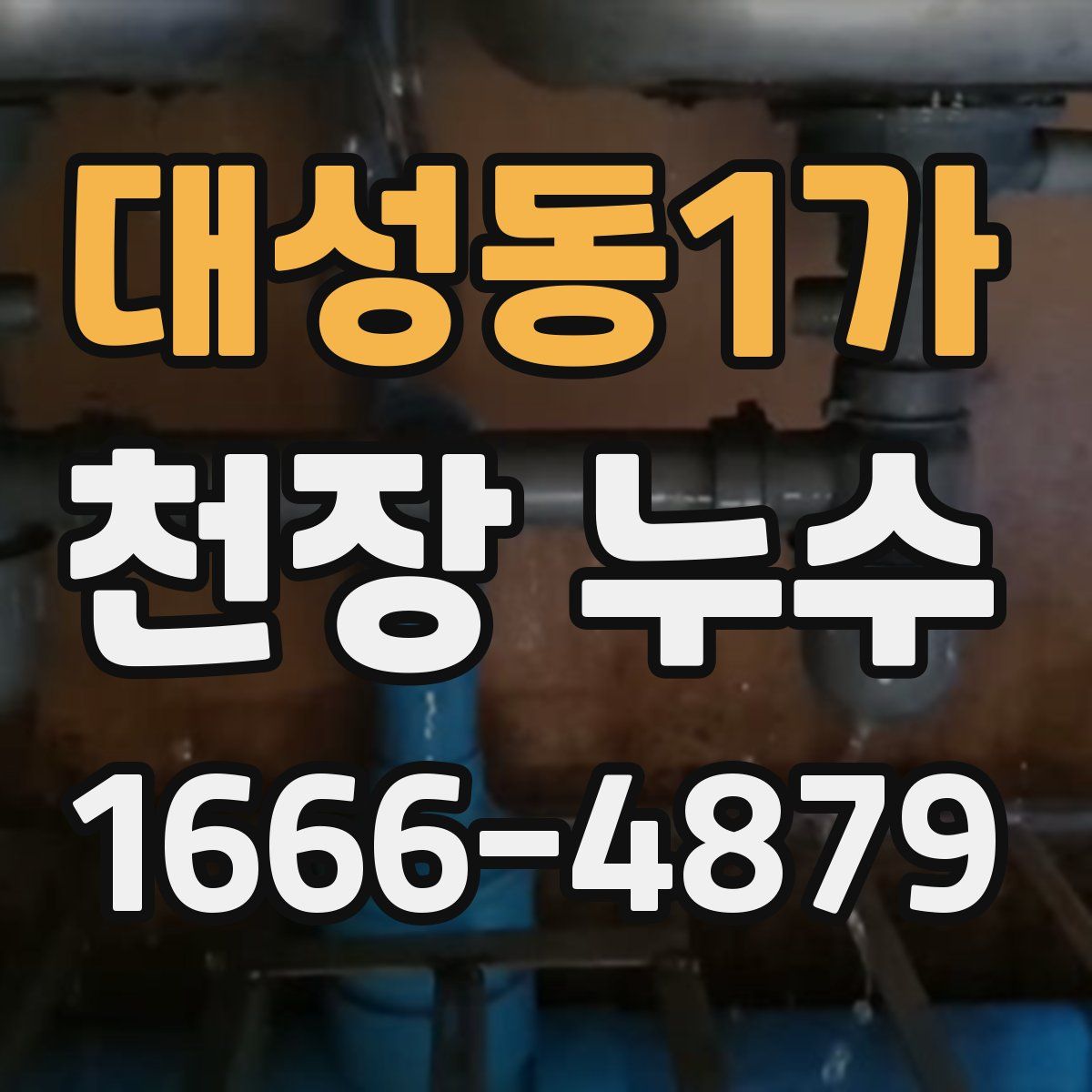 대성동1가 천장 누수