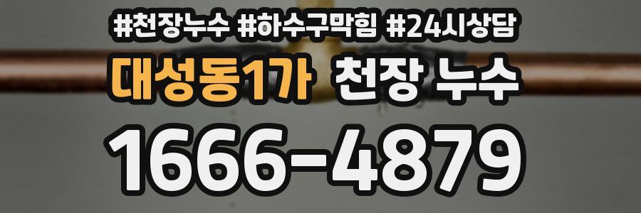 대성동1가 천장 누수