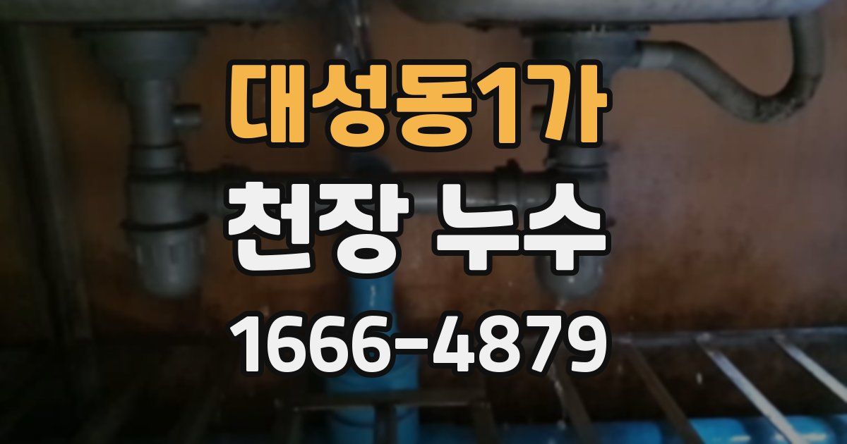 대성동1가 천장 누수