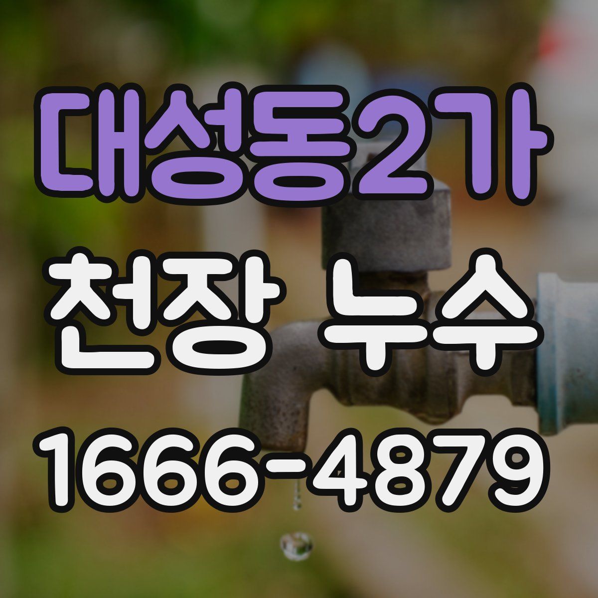 대성동2가 천장 누수