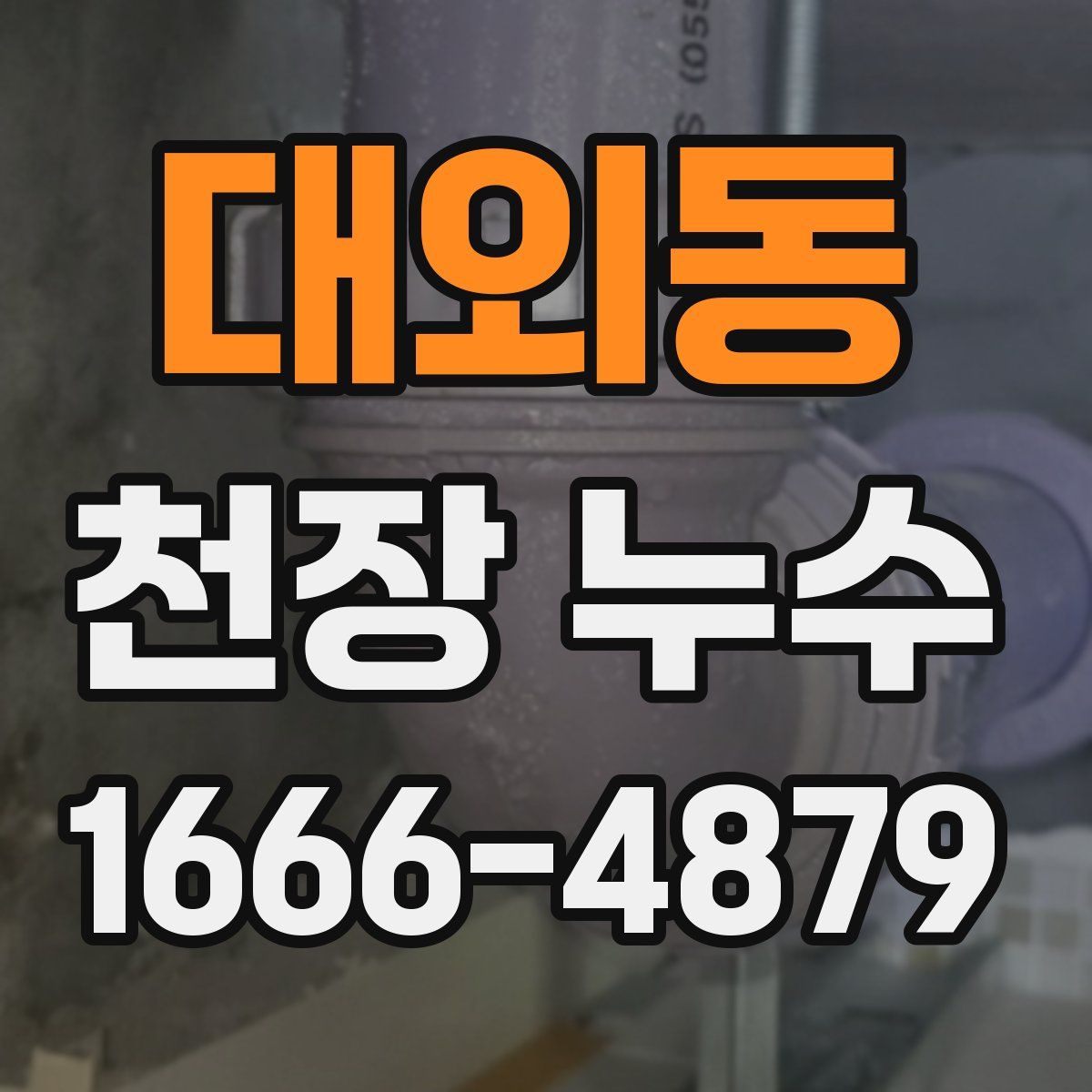 대외동 천장 누수