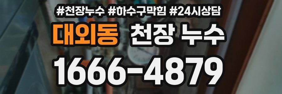 대외동 천장 누수